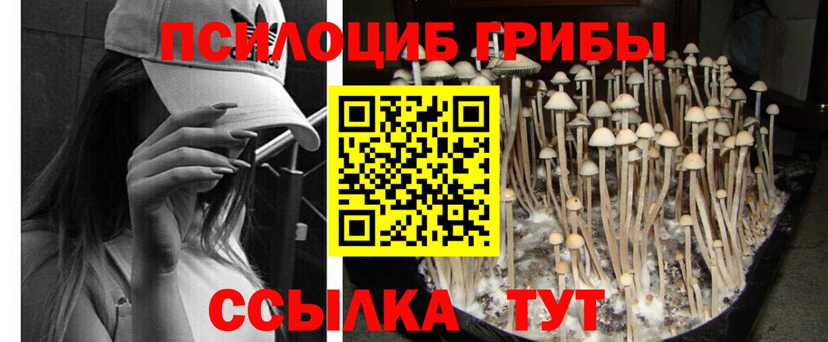 Галлюциногенные грибы MAGIC MUSHROOMS Татарск